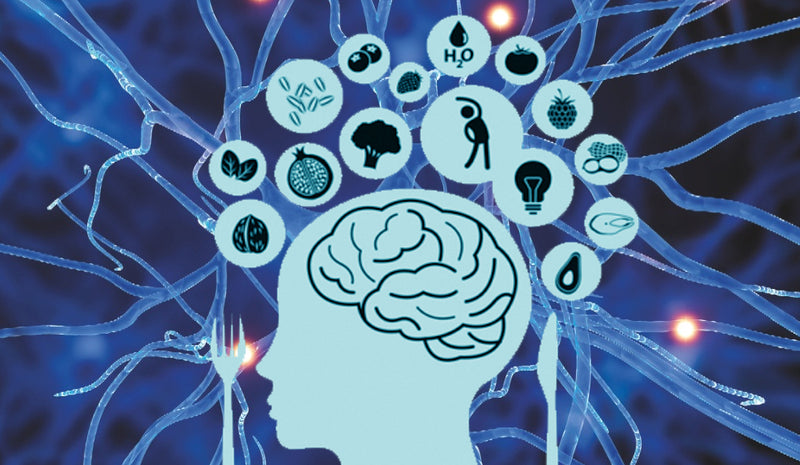 Protege tu cerebro para una mejor calidad de vida