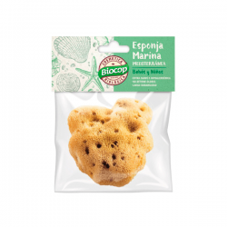 Mediterranean marine sponge babies and children