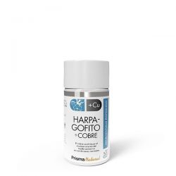 Harpagofito + Cobre - 30 cápsulas