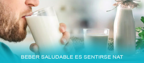 Bebidas saludables