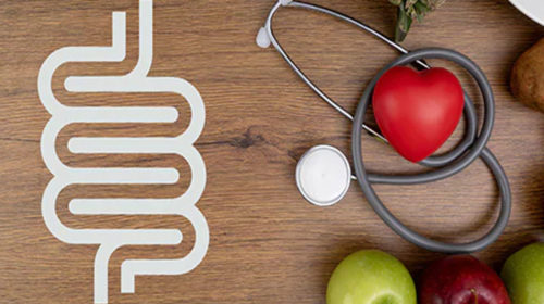 Tu dieta y tu sistema digestivo