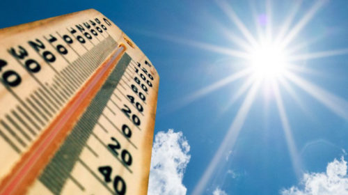 ¿Cómo superar una ola de calor?