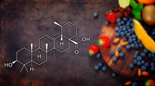 Acido Ursólico: ¿lo usas habitualmente?