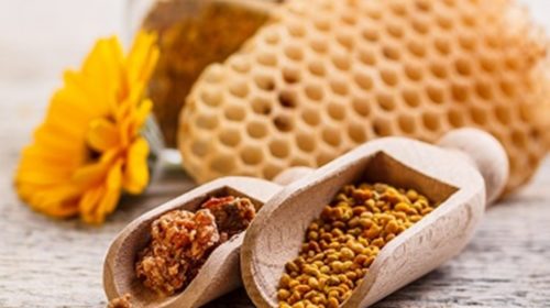 Añade propóleo de las abejas a tu dieta mientras fortaleces tu cuerpo