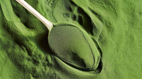 Chlorella, el alga depurativa que mejora el perfil nutricional