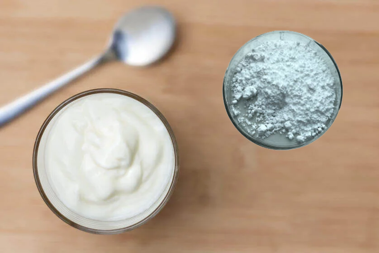 Acidophilus, el probiótico aliado intestinal que fortalece el organismo