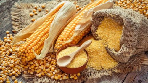 El maíz, un alimento multifuncional para la salud