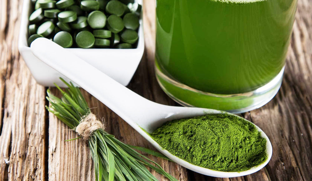 Espirulina, el superalimento proteico y multifuncional para la salud