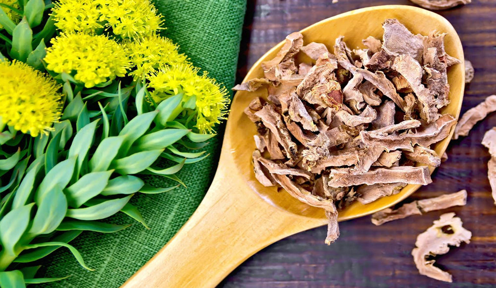 Rhodiola rosea: ¿ por qué es tan popular ?