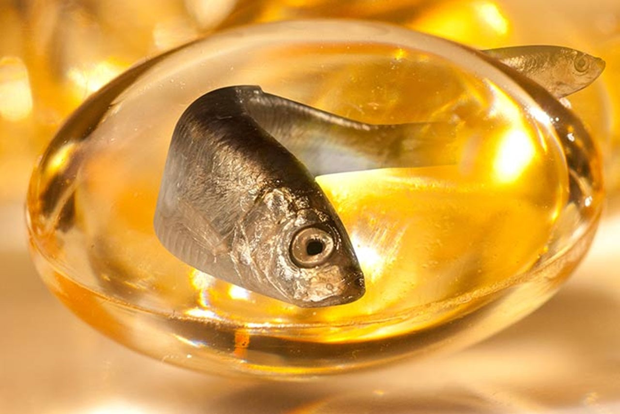 Aceite de pescado, un aliado para el cuerpo, la mente y la longevidad