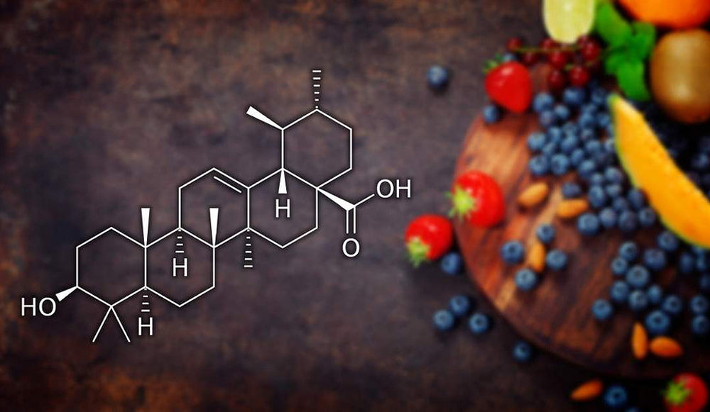 Acido Ursólico: ¿lo usas habitualmente?