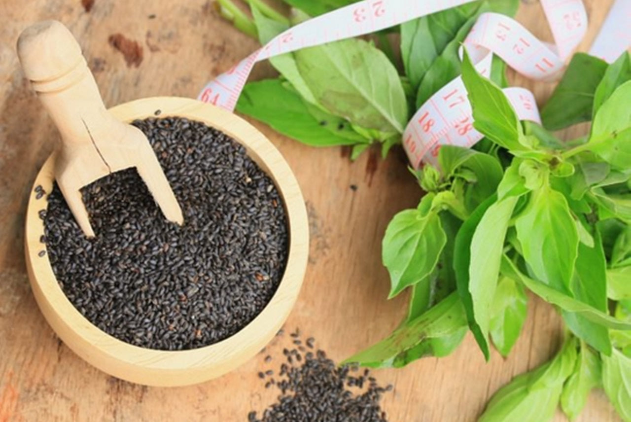 Albahaca, la hierba aromática para tu cocina y tu salud