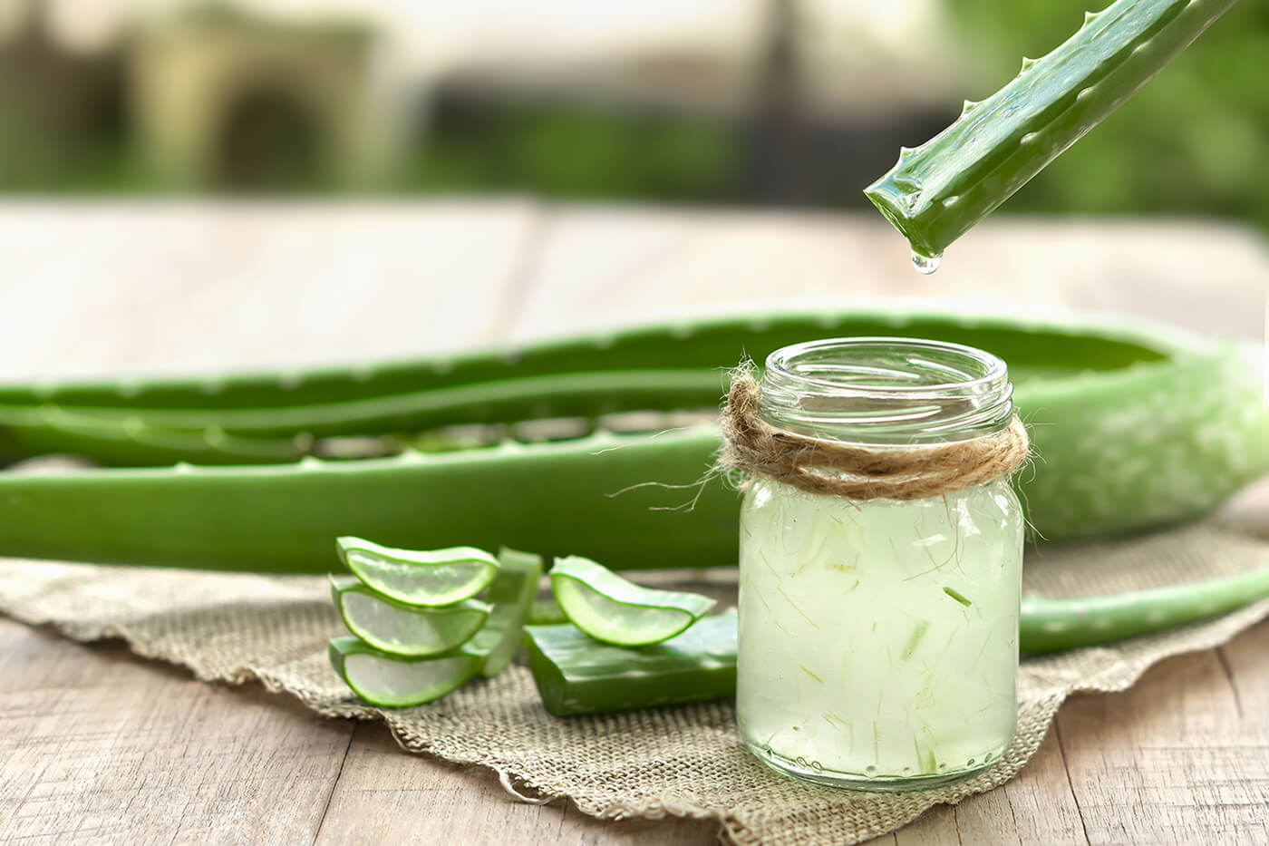 Aloe Vera, propiedades y beneficios
