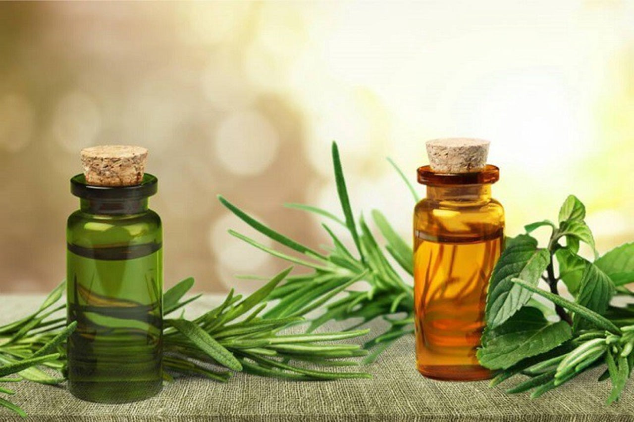 El árbol del té, solución ideal para piel y cabellos
