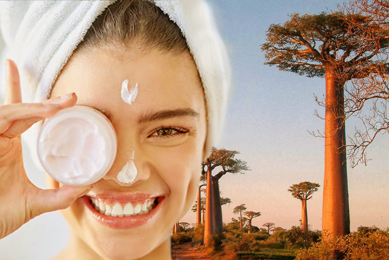 El baobab, el extracto para tus sistemas, cabellos y belleza corporal