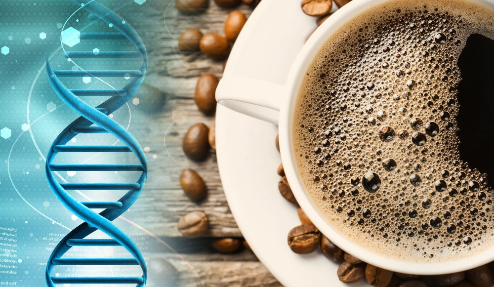 El café, ¿energético y más?
