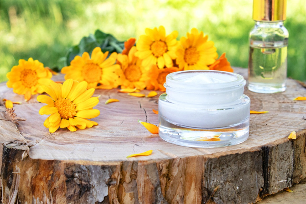 Caléndula, la hierba aliada de la belleza y el bienestar