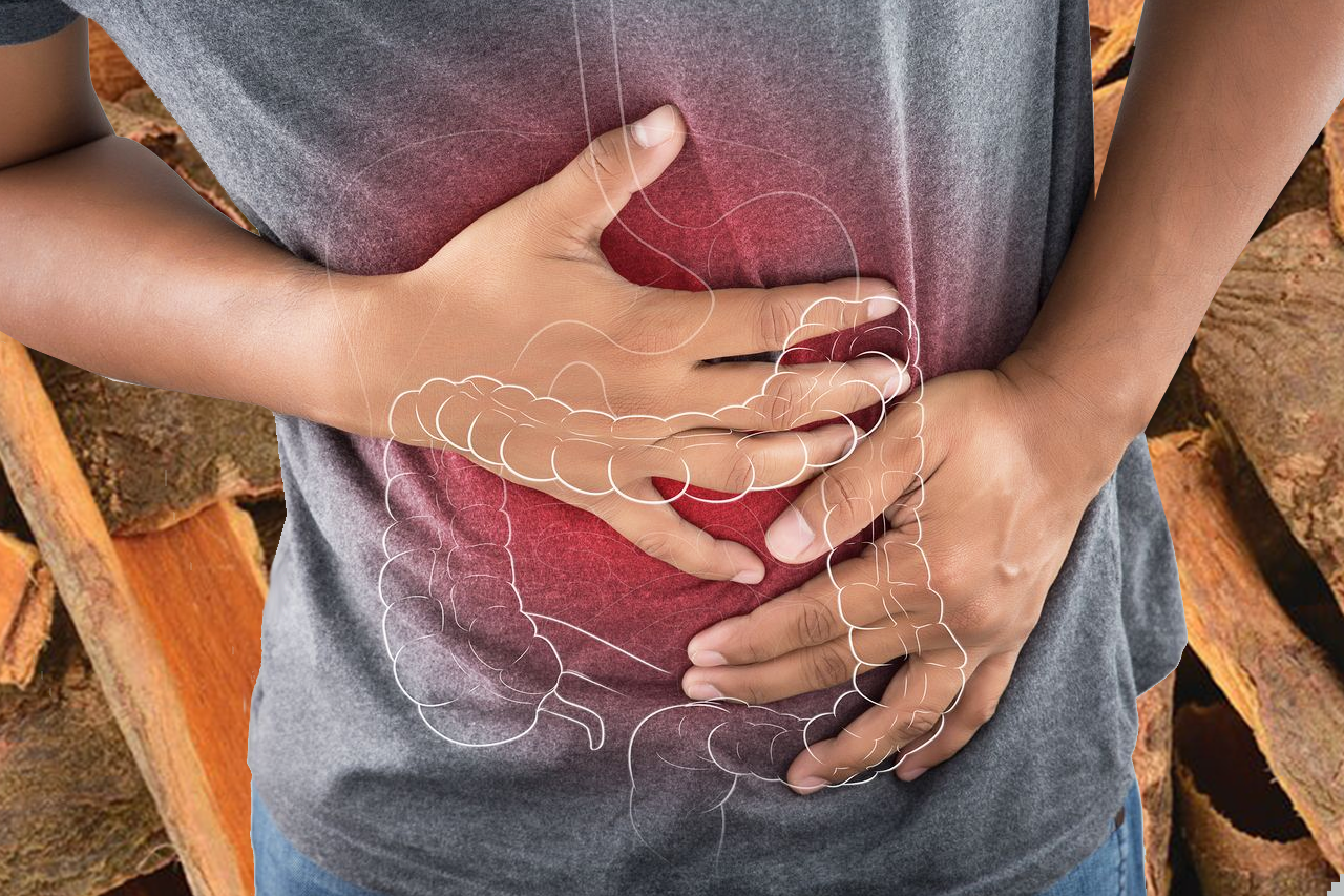 Depura tu sistema digestivo con cáscara sagrada