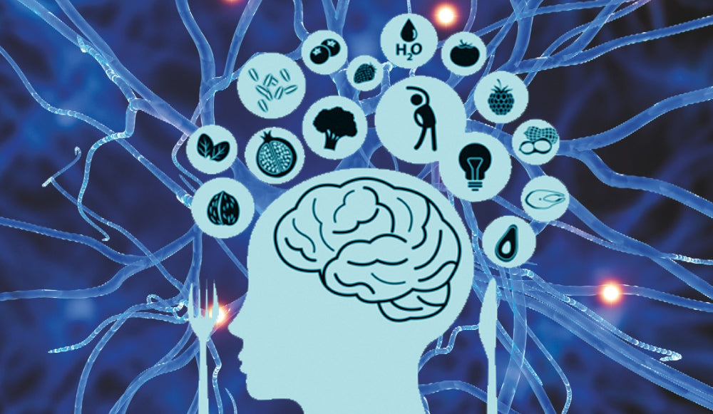 Protege tu cerebro para una mejor calidad de vida