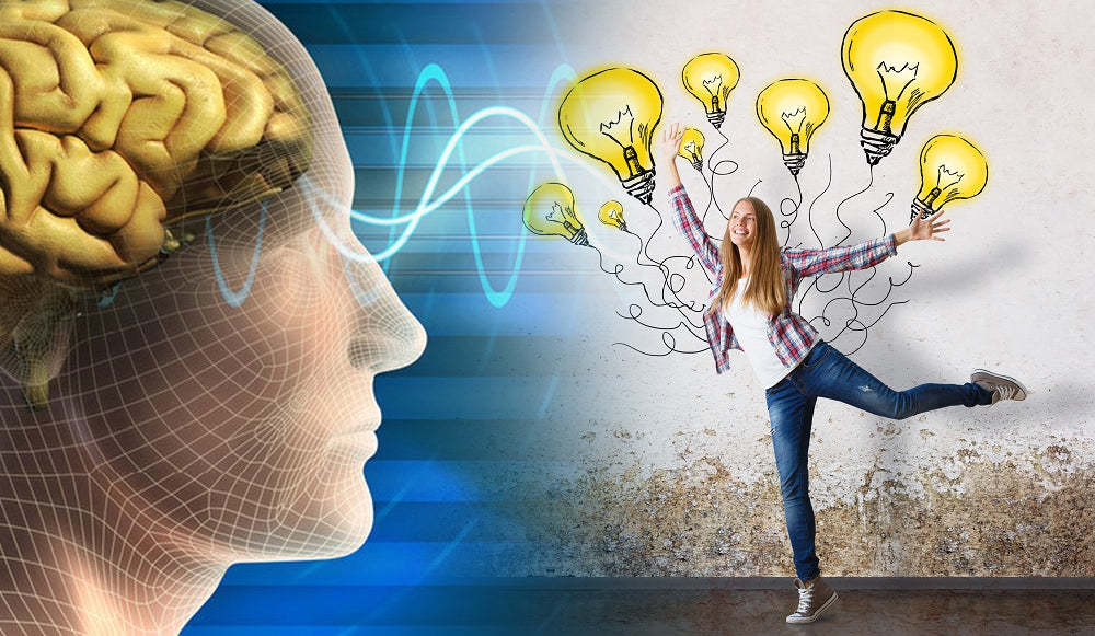 Estimula tu cerebro, Estimula tu vida