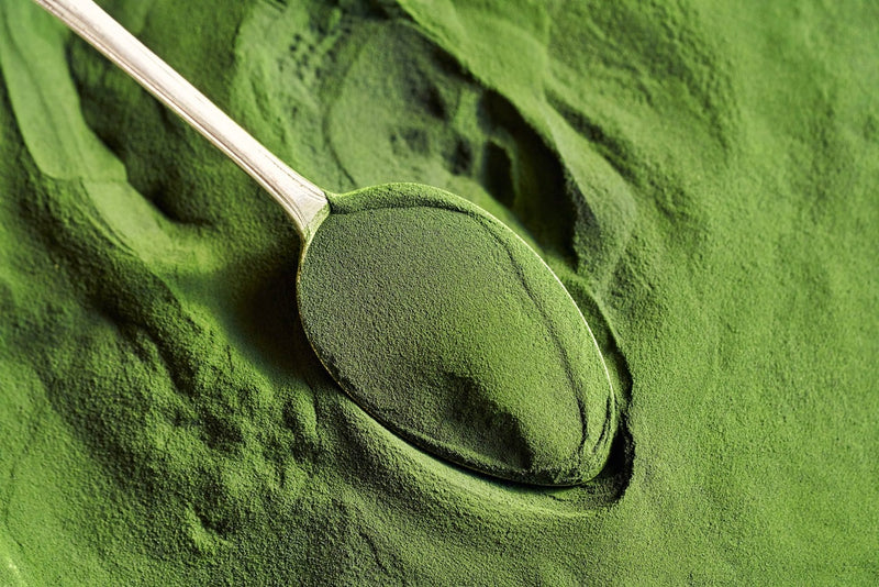 Chlorella, el alga depurativa que mejora el perfil nutricional