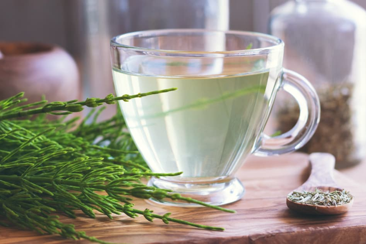 Desintoxica y fortalece tu cuerpo con cola de caballo