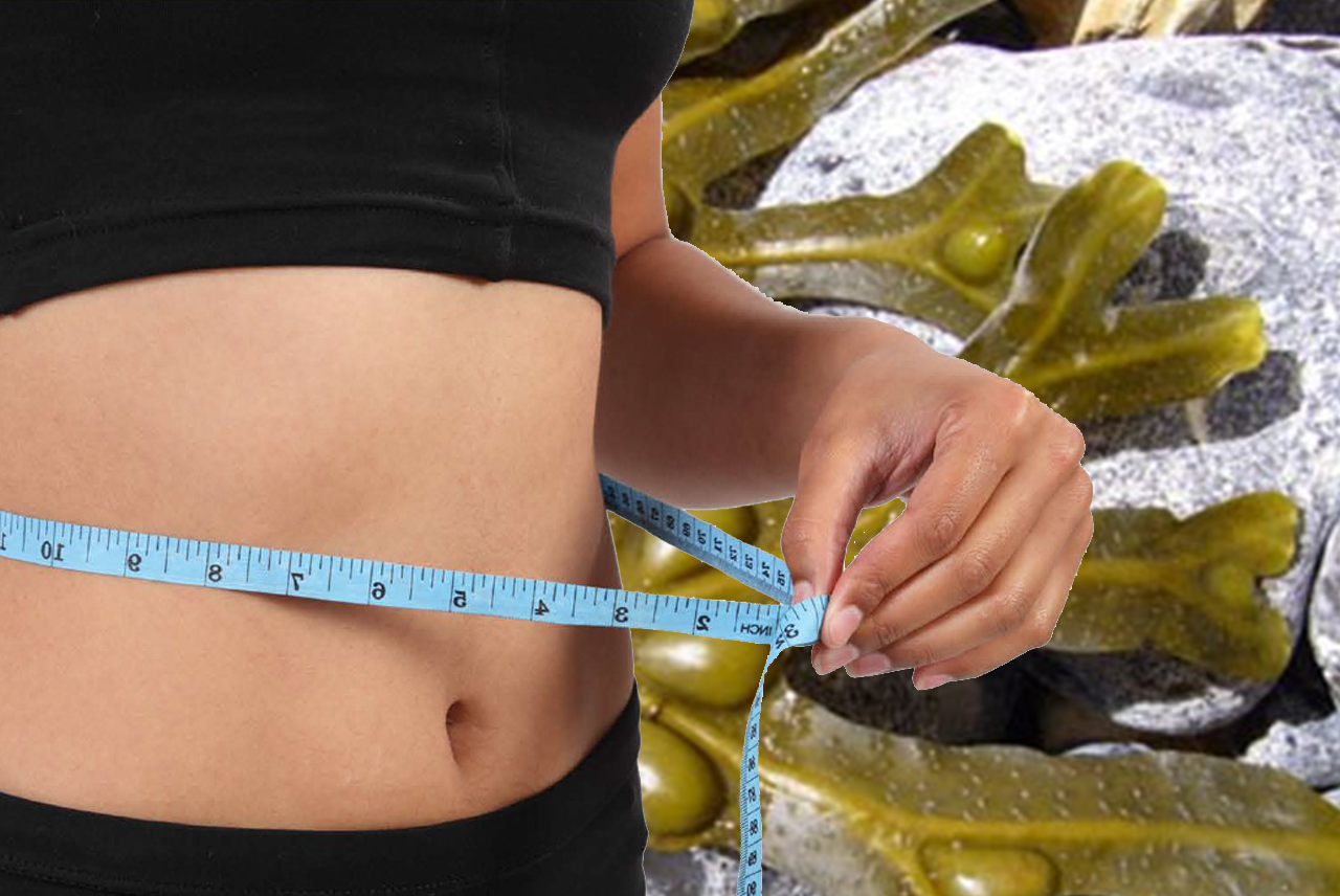 Fucus, el cosmético que también estimula el metabolismo