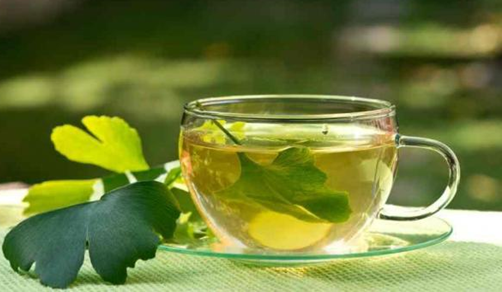 Aprovechando el gingko biloba en invierno