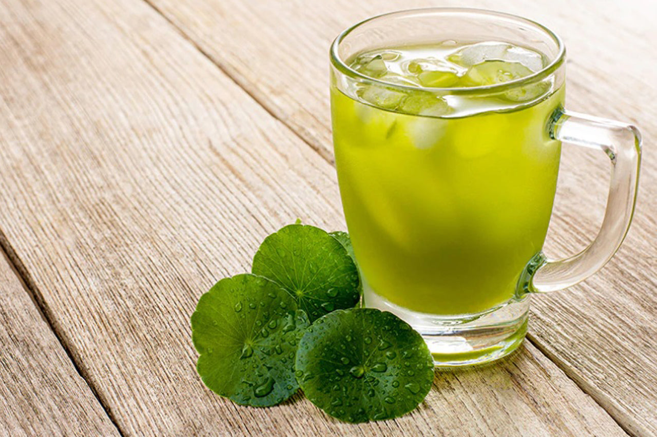 Centella asiática, el desintoxicante que aumenta la calidad de vida