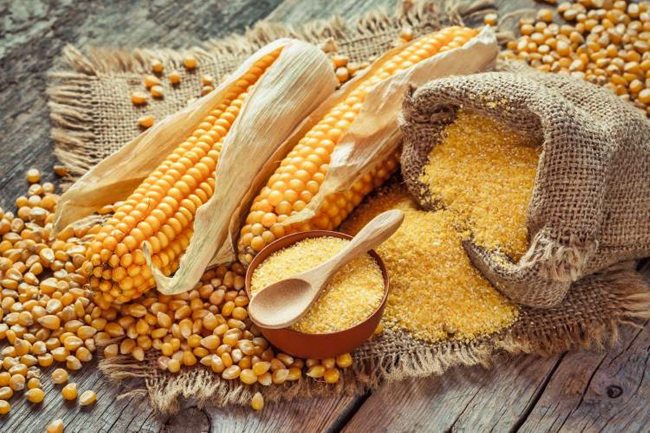 El maíz, un alimento multifuncional para la salud
