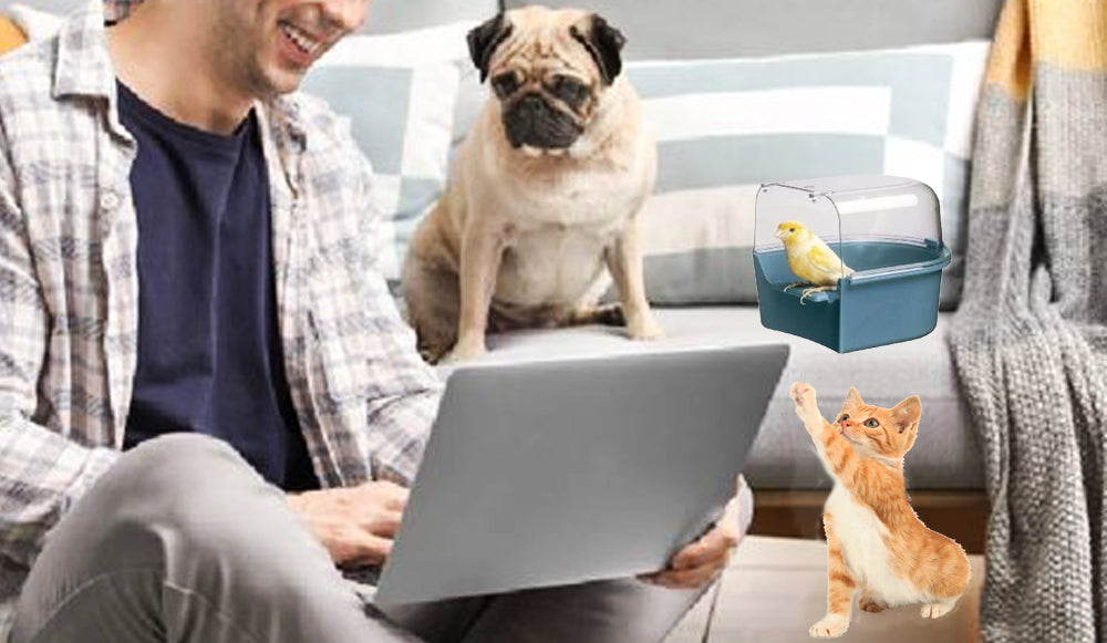 Hacer feliz a tu mascota durante todo el año