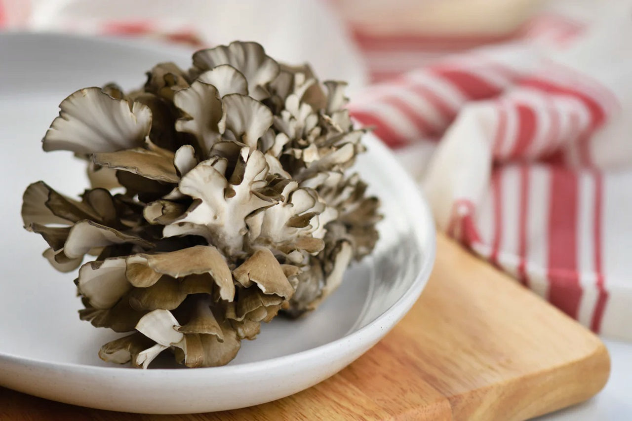 Maitake, una fuente de longevidad y buena salud