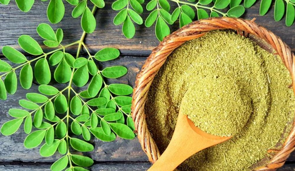 Moringa, la planta milagrosa