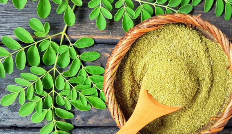 Moringa, la planta milagrosa