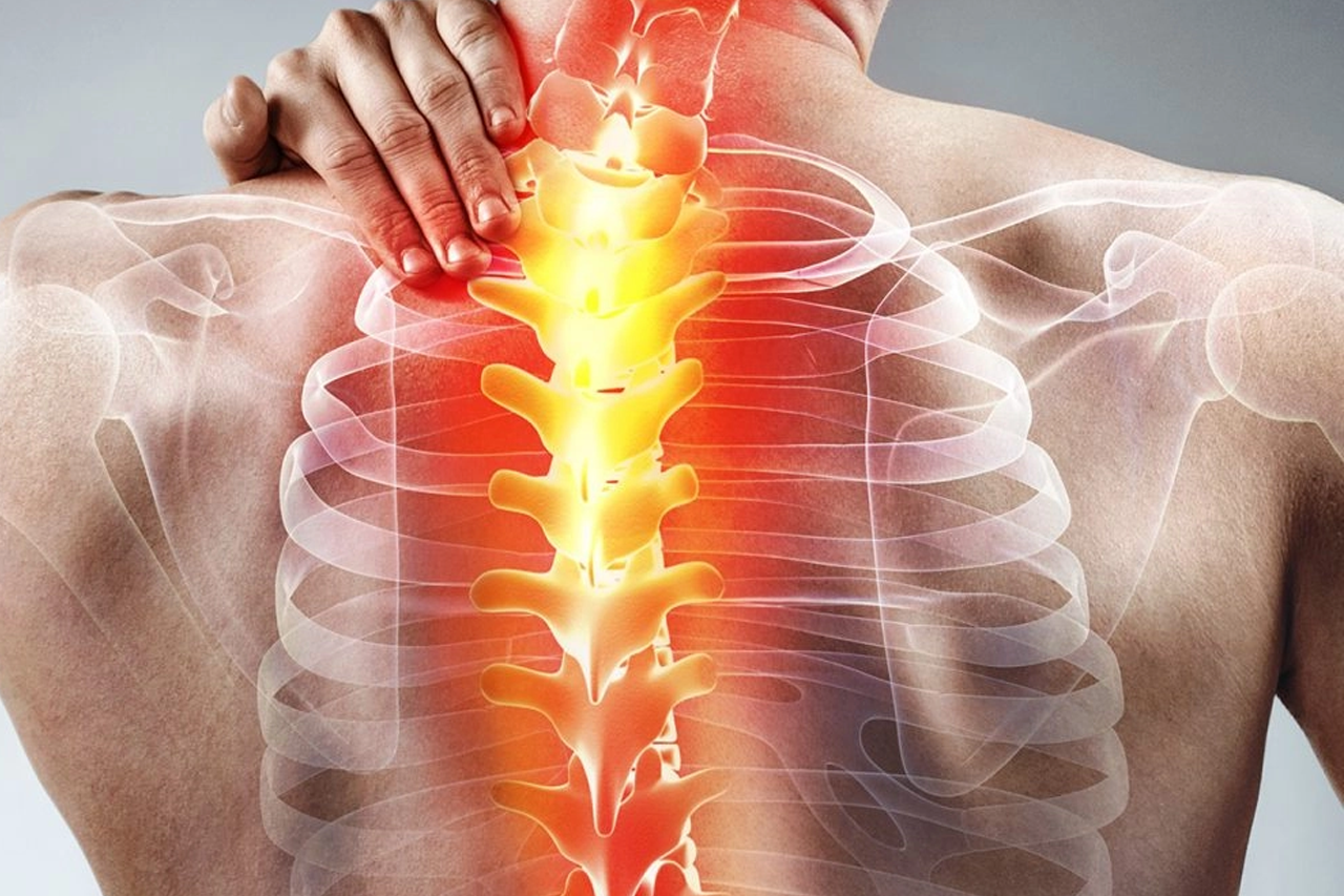 Protege tu cuerpo, incluidas tus articulaciones con MSM