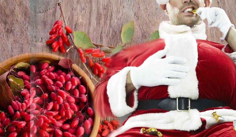 Berberina, la superhierba de fin de año