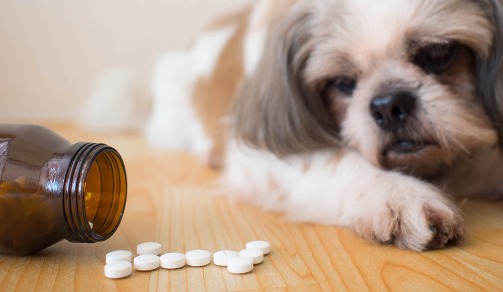 Añade omega-3 para tu mascota