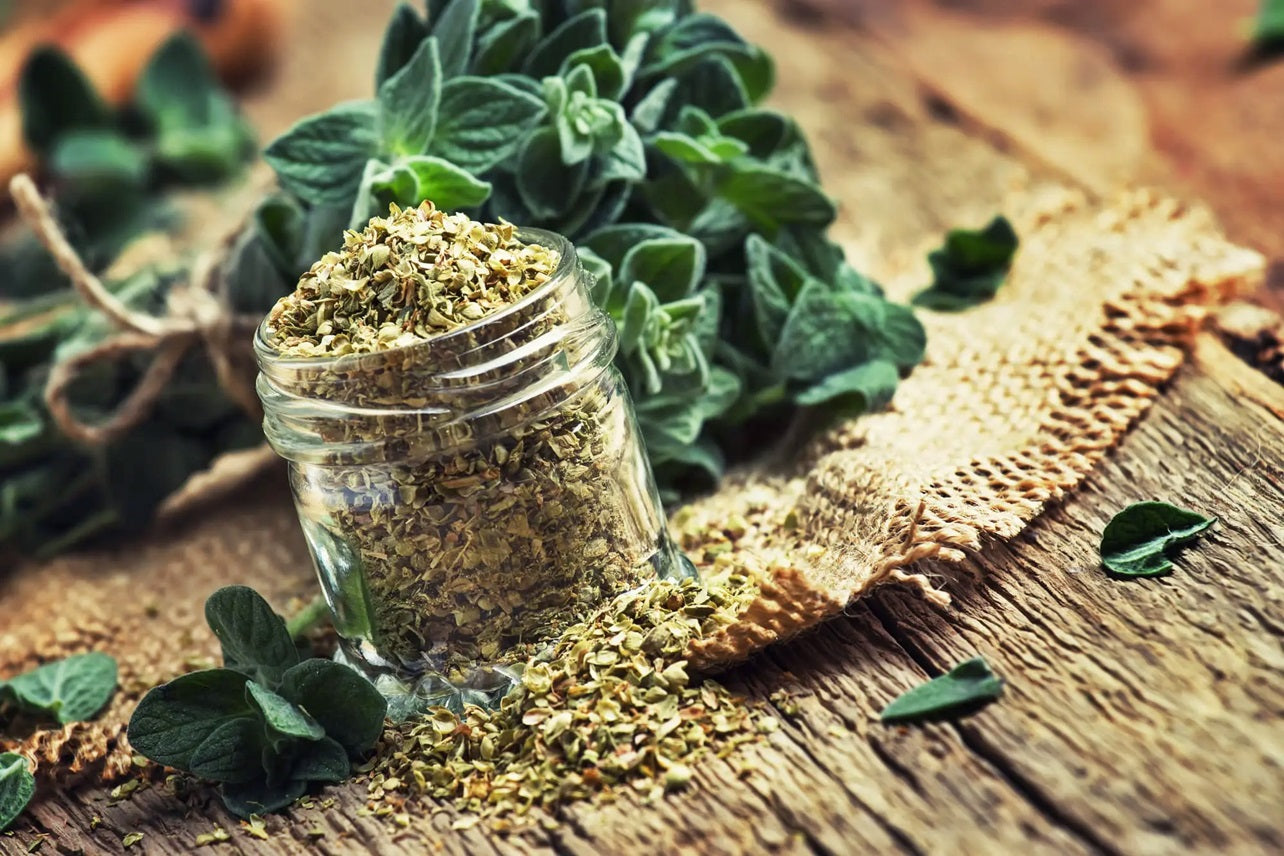 Orégano, una especia digestiva, que se convierte en curativa