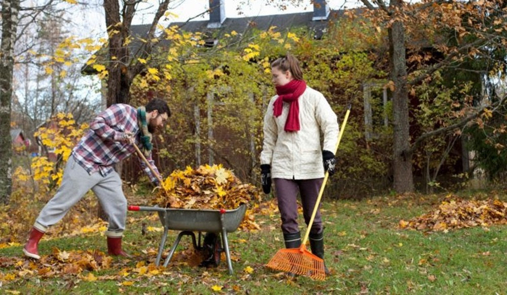 Actividades otoñales para quemar grasa