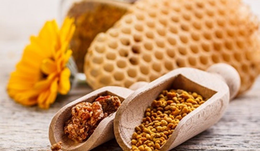 Añade propóleo de las abejas a tu dieta mientras fortaleces tu cuerpo