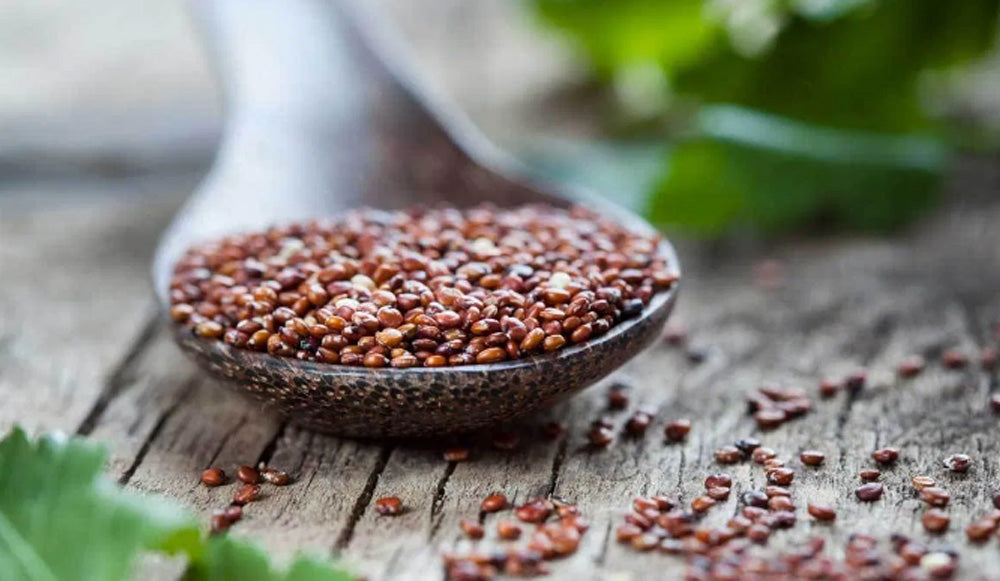 Quinoa: ¡ súper grano para una súper vida !