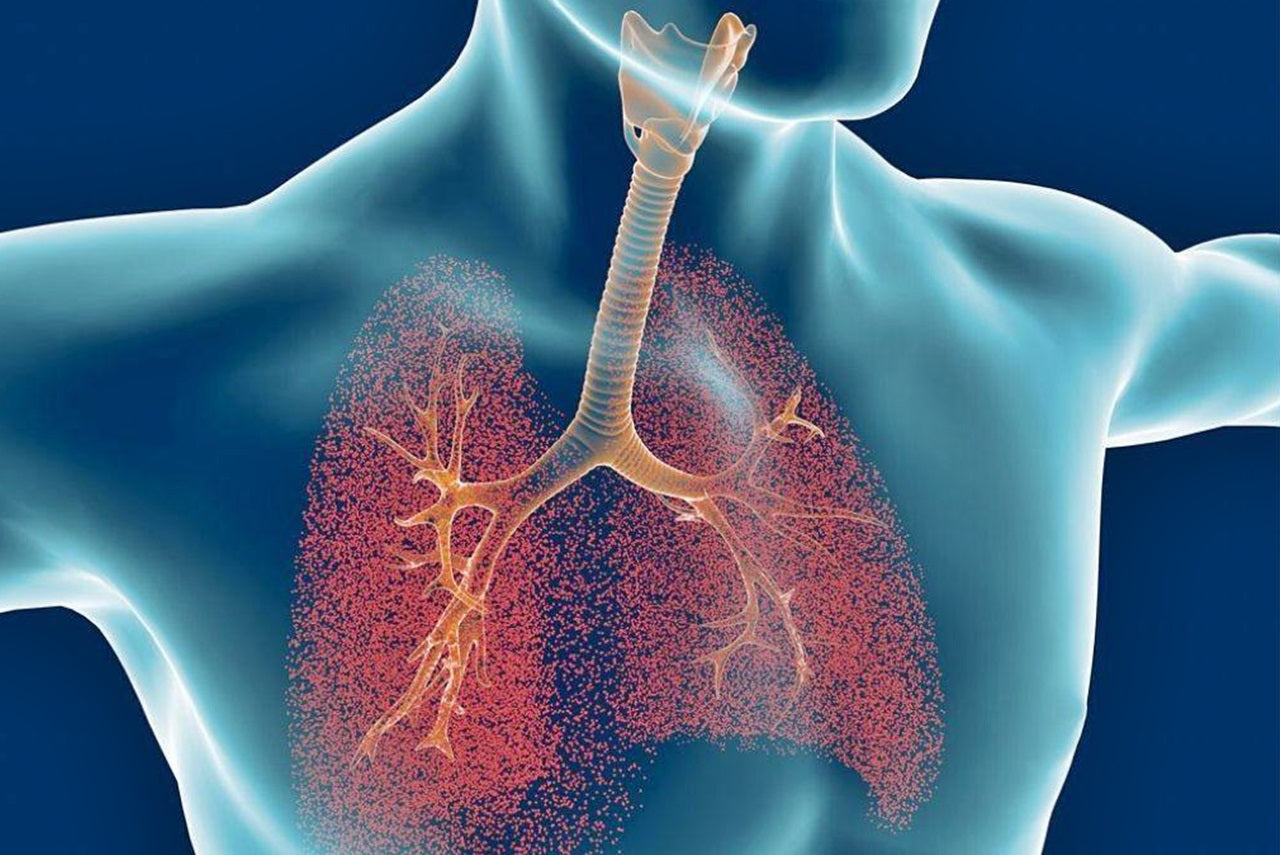Cómo el óxido nítrico brinda un soporte para la salud respiratoria
