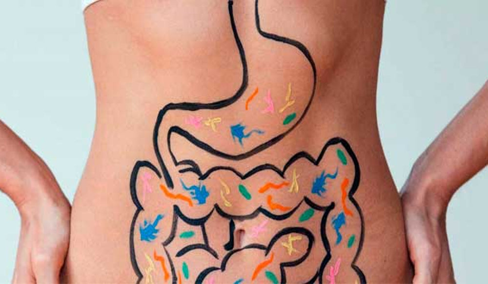Promoviendo la salud intestinal