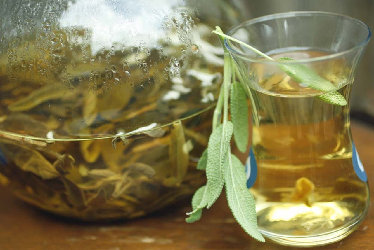 Protege tu cuerpo y mente, desde dentro hacia afuera con salvia