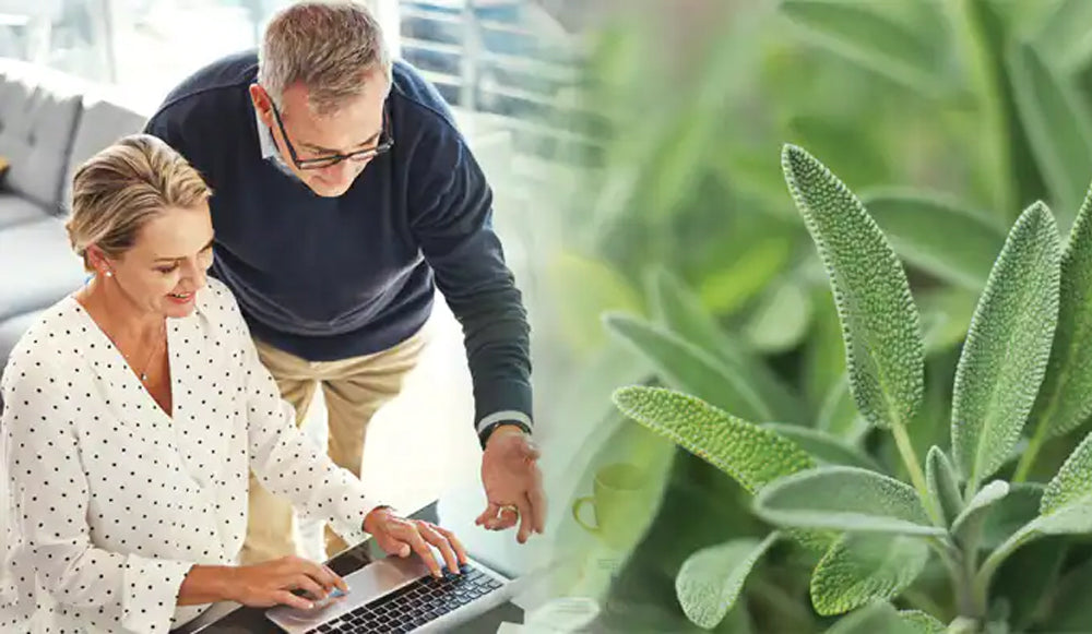 La salvia beneficia la función cognitiva