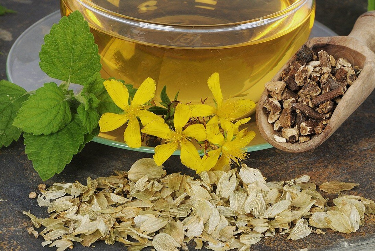 Relájate y sé feliz utilizando una hierba como la valeriana