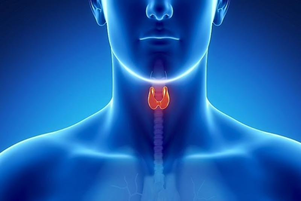 Yodo, el regulador del metabolismo