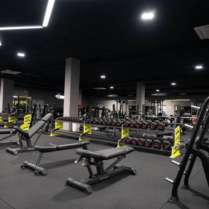 Fitness y estética corporal