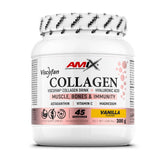 Colágeno Viscofan de Amix Nutrition