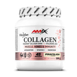 Colágeno Viscofan de Amix Nutrition